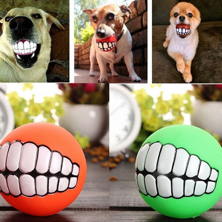 Pet Ball Teeth Chew Toys for Dogs