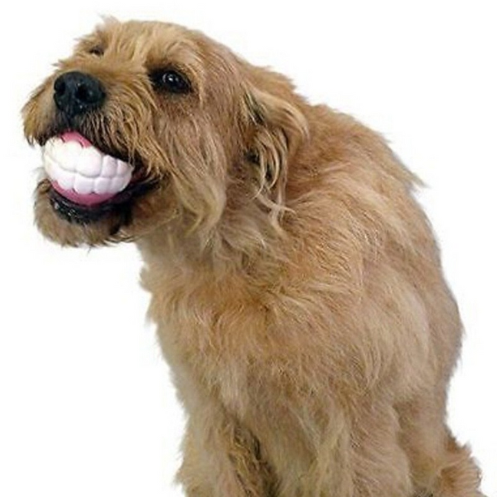 Pet Ball Teeth Chew Toys for Dogs